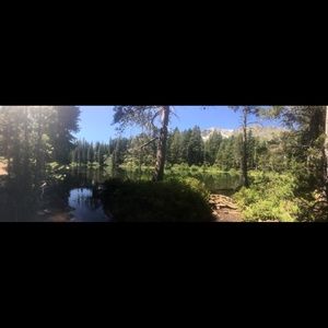 Meet your Posher, Lane